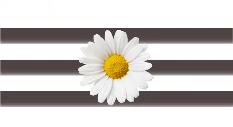Margritenhof