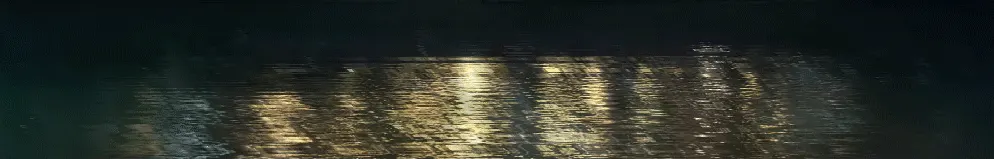 Recovered image