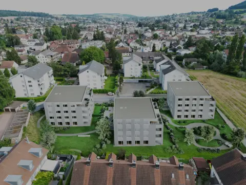 Alzbachfeld Reinach