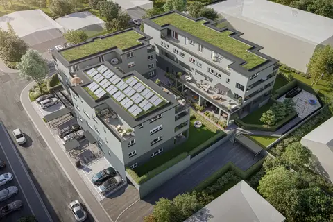 Neuwerk Höri