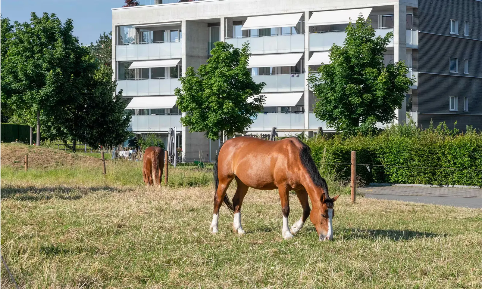 Südstrasse Arbon
