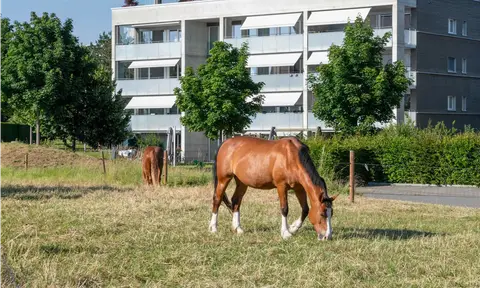 Südstrasse Arbon