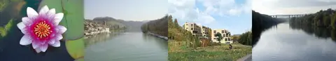 Rheingarten