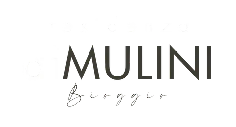 Residenza ai Mulini Bioggio