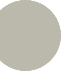 Recovered image