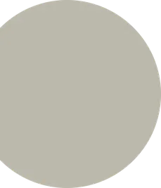 Recovered image