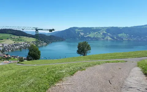 Wohnhäuser Martisweid
