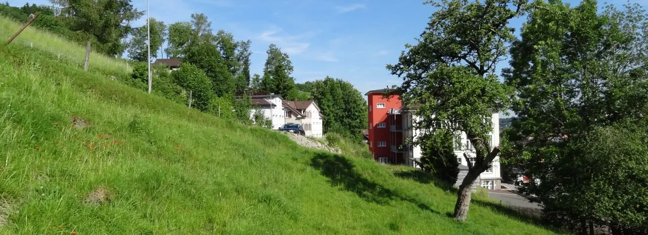 Recovered image