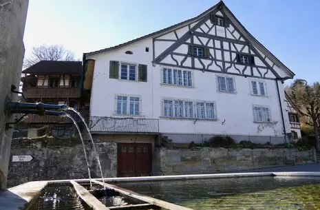 Rebstock Rüdlingen